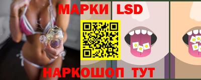 гидра Новозыбков