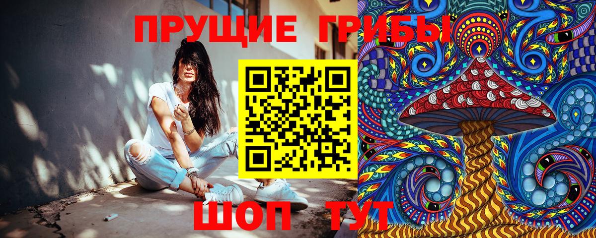 Бахчисарай  Галлюциногенные грибы Magic Shrooms  Вход с VPN 